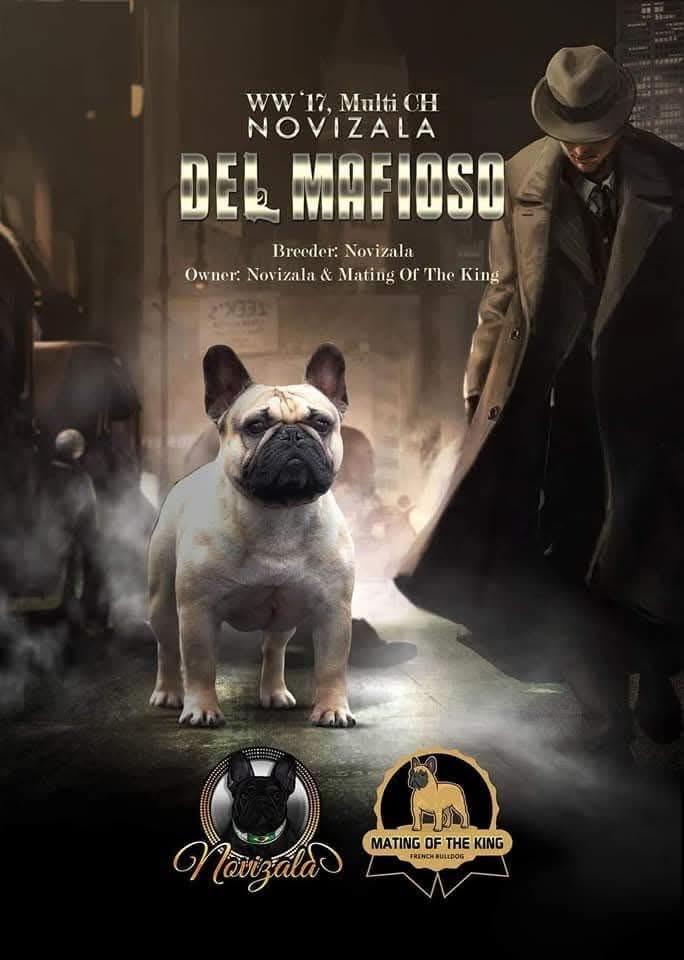 Mafioso