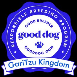 Shih Tzu Puppies from GariTzu Kingdom