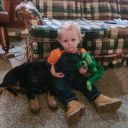 German Shepherd Puppies from Levesques German Shepherds