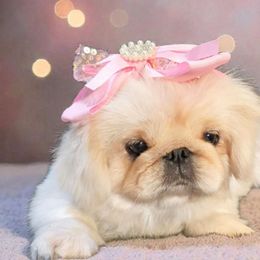 Vanier's Suzanne - White female Pekingese puppy in Texas from Vanier Pekingese