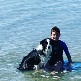 Border Collie Puppies from Flying S Ranch Border Collies