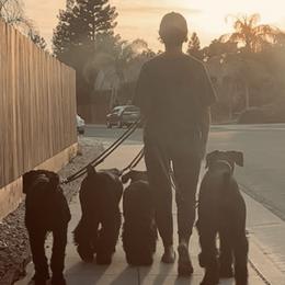 Wednesday - Giant Schnauzer