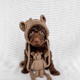Houndstooth - Chocolate male Goldendoodle puppy in Roanoke Rapids, North Carolina from Sweeter than Honey Doodles