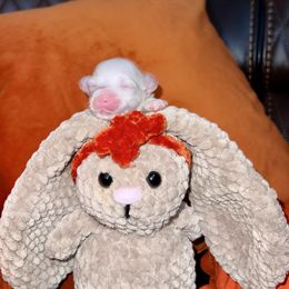 Julianne - White female Maltese puppy in Homestead, Florida from Princess’s Maltese Palace