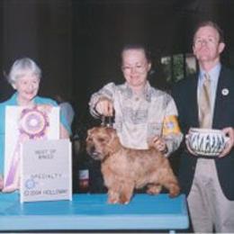 Norfolk Terrier and Norwich Terrier All Grown Up from Infinity Kennels