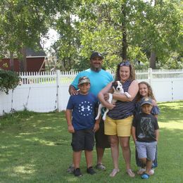 American Staffordshire Terrier Puppies from Diane Guilmette
