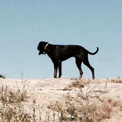 Plotts from Badlands Plotts