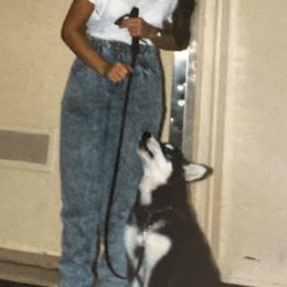 Alaskan Malamutes from Knightmute-Nikos Malamutes