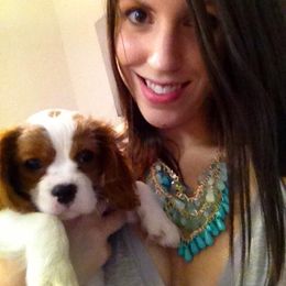 Cavalier King Charles Spaniel All Grown Up from Phoenix Cavaliers - Cavalier King Charles Spaniels