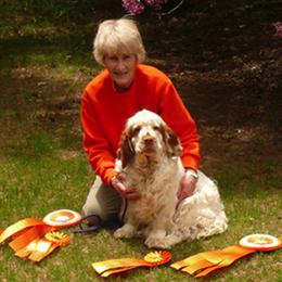 Clumber Spaniels from Shogun Clumber Spaniels
