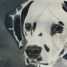 Dalmatians from Soulryde Dalmatians