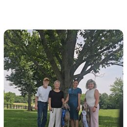 Weimaraner Puppies from So-IN Weimaraner's