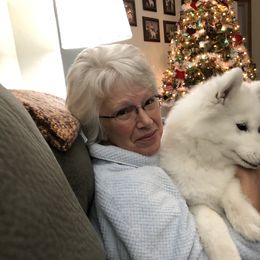 Samoyed Puppies from Calista Samoyeds