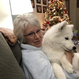 Samoyed Puppies from Calista Samoyeds