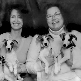 "2010 Choice ex Lydia (Inki 2nd from left, bred once, produced Stevee)" Whippet Puppies from SaeSi Kennels
