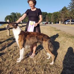 Yum - Borzoi