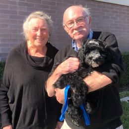 Dark Blue - Black and white male Sheepadoodle puppy in Archer, Florida from Gainesville Sheepadoodles