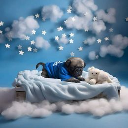 Pug Puppies from Precious Paws