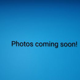 Girl 2 - Black tri-color female Australian Shepherd puppy in Wimberley, Texas from Veritas Australian Shepherds