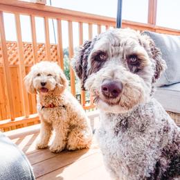 Companion Cross All Grown Up from Habibi Bears