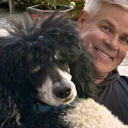 Ursa - Poodle