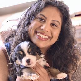 Rosa - Black tan and white female Bernese Mountain Dog puppy in Loveland, Colorado from Grateful Bernese & Gage's Goldens