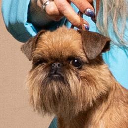 Tuni - Brussels Griffon