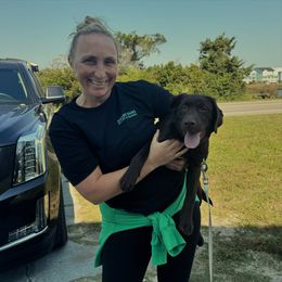 Labrador Retriever Puppies from Rose Gold Retrievers