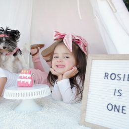 Biewer Terrier Puppies from Butterfly Biewers