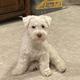 Casper