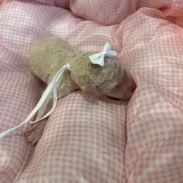 Aruba - White female Poodle puppy in Mobile, Alabama from Semmy’s Standard Poodle LLC