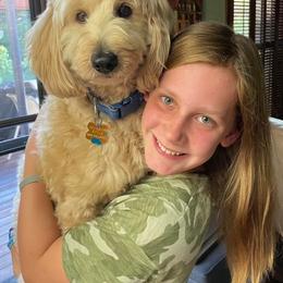 Goldendoodle, Poodle, and Sheepadoodle All Grown Up from Brewer's Goldendoodles & Sheepadoodles