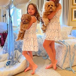 Maltipoo All Grown Up from Maltipoo FurBabies