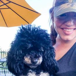 Goldendoodles and Poodles from Fancy Farm Doodles & Poodles