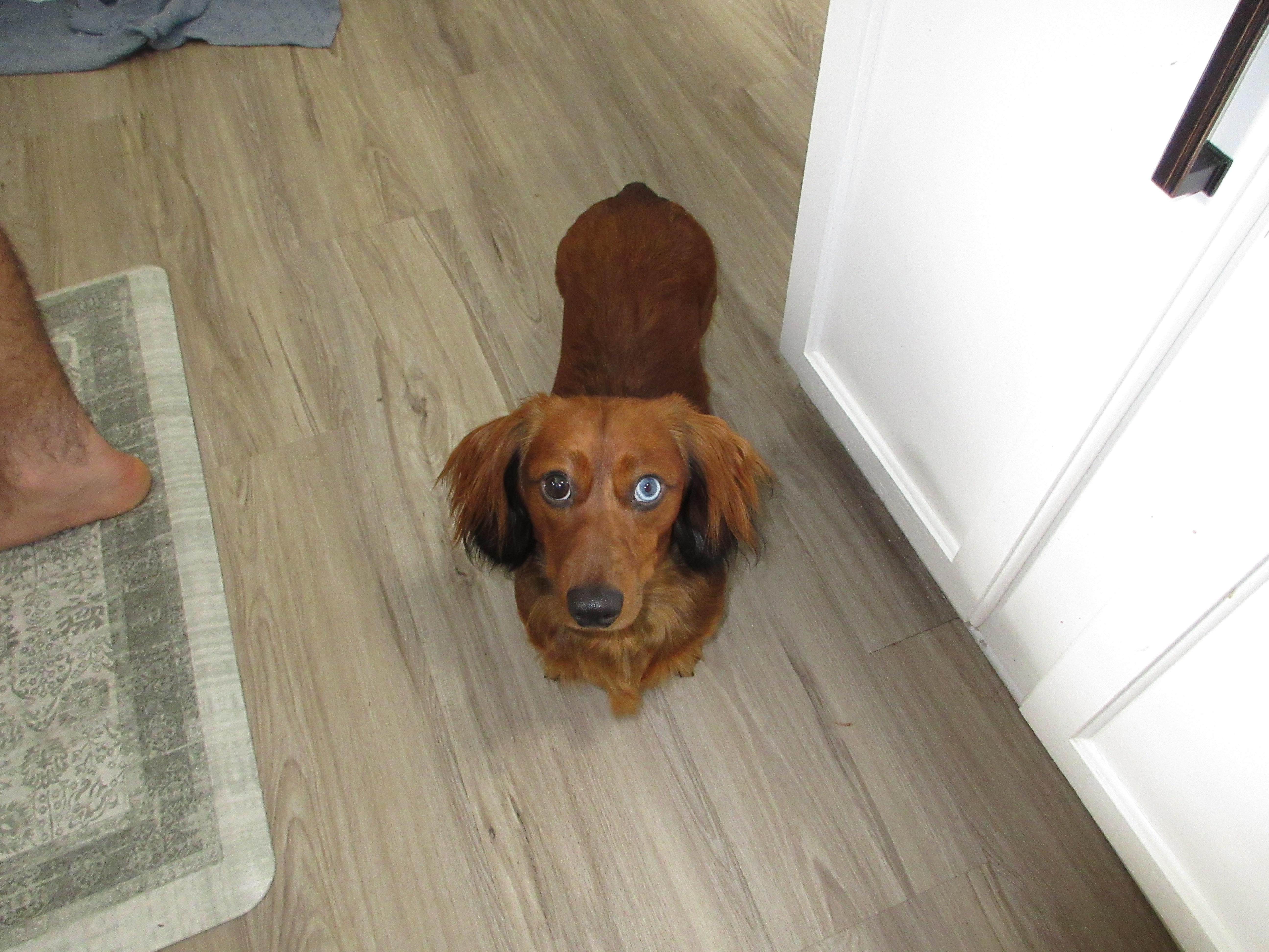 Oakley