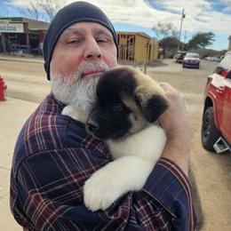 AKC Male 'Hiro' - Black, brown undercoat male Akita puppy in Tombstone, Arizona from WeVolution Off-Grid