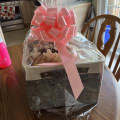 Shorkie Puppies from Shorkies R Us Breeding