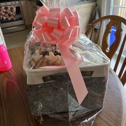 Shorkie Puppies from Shorkies R Us Breeding