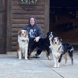 Australian Shepherd Puppies from Cottage Farm Aussies