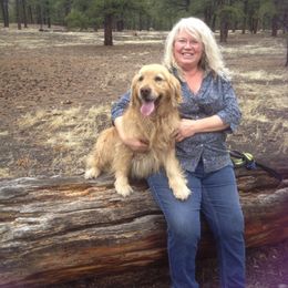 Golden Retriever All Grown Up from Rainbow Goldens