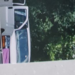 Cassy - German Shepherd