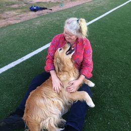 Golden Retriever All Grown Up from Rainbow Goldens