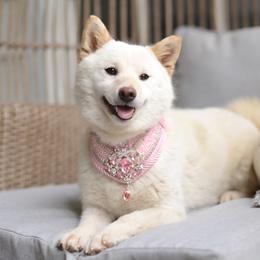 Isuki - Shiba Inu