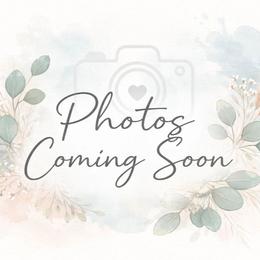 Lila - Apricot female Poodle puppy in Kannapolis, North Carolina from Carolina Great Danes & Toy Poodles