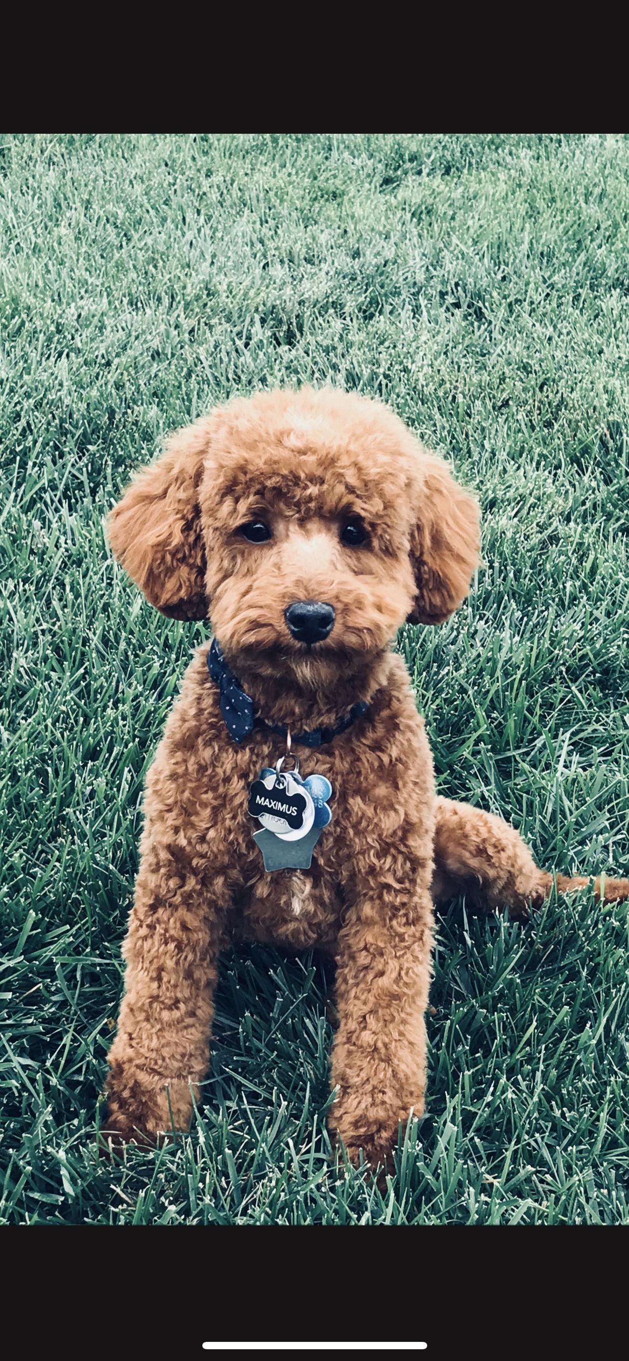 Max