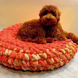 Bernedoodle and Goldendoodle All Grown Up from Kimberlee’s Kennels