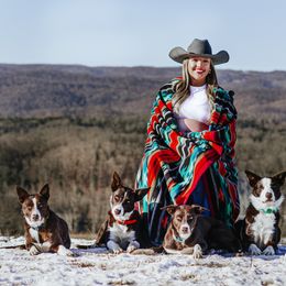 Border Collie All Grown Up from M&D Border Collies