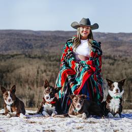 Border Collie All Grown Up from M&D Border Collies