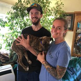 Greyhound Puppies from WINDROCK LLC