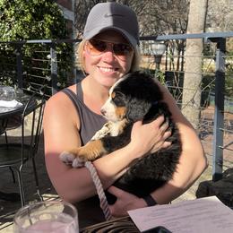 Bernese Mountain Dog Puppies from Lonesome Pine Farm